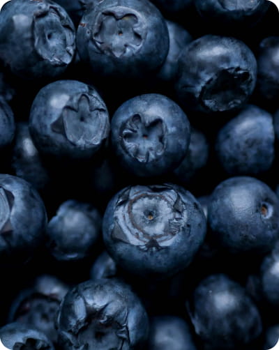 Blueberry